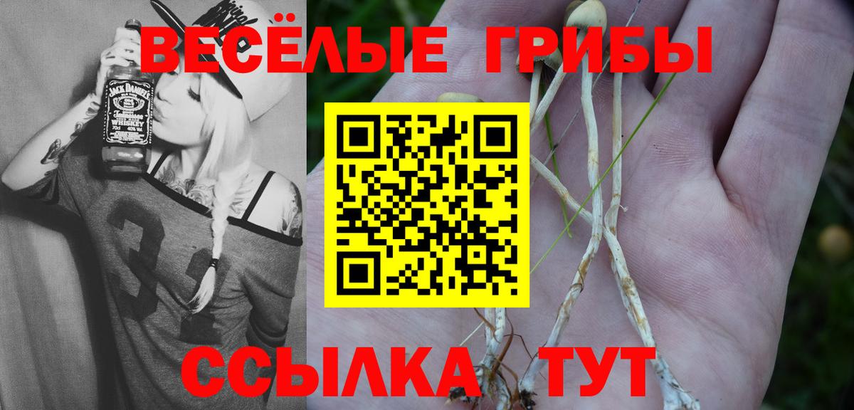 Нерюнгри  Псилоцибиновые грибы прущие грибы  Вход с VPN 